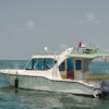 Rear view of 42 FT Speed Boat with twin engines in Dubai waters